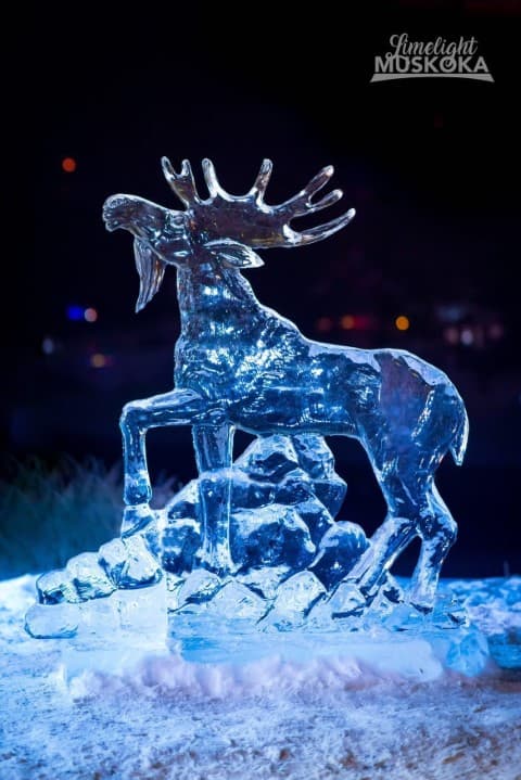 Selected work — Ice Boy archive photo 138 of 176