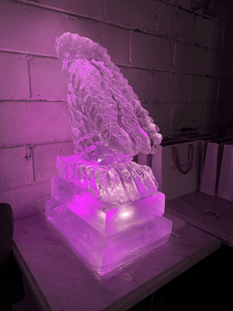 Selected work — Ice Boy archive photo 50 of 176