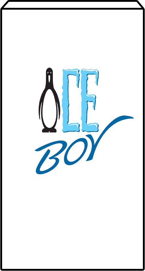 9-inch Standalone Ice Block
